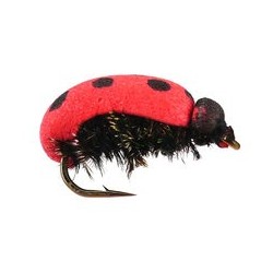 Lady Bug Foam