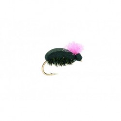 Target Beetle Pink