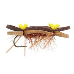 Tonis Bright Brown Superb Chernobyl Ant