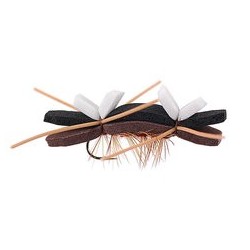 Tschernobyl Ant Brown