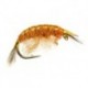 classic gammarus fluo orange