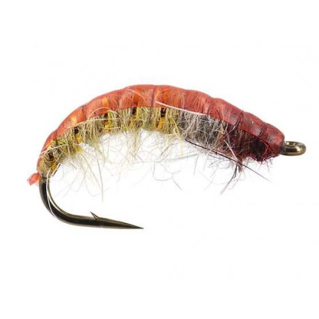 czech nymph superb terra