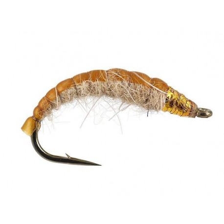 golden czech nymph superb