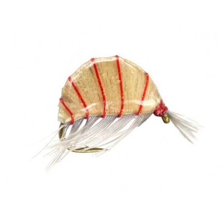 heavy epoxy shrimp natural