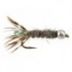 Ales TG Grey Peeping Caddis