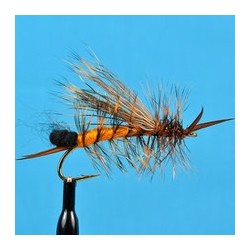 Egg Laying Stone Orange