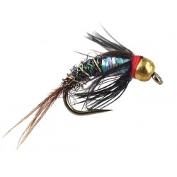 ales tg rainbow pheasant
