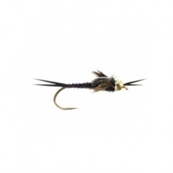 beadhead double tungsten epoxy stonefly black