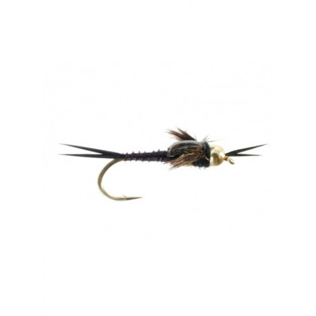 beadhead double tungsten epoxy stonefly black