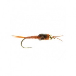 beadhead double tungsten epoxy stonefly brown