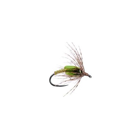 Green Metallic Soft Hackles Pupa BL