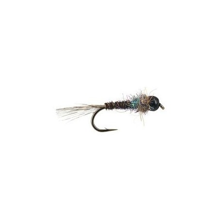 black pheasant tail