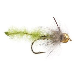 caddis pupa olive