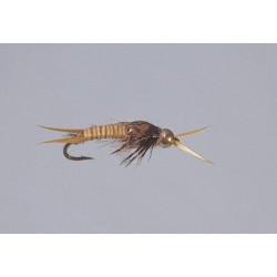 Golden Epoxyback Stone   TNG WTD