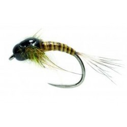 Olive Quill Nymph Black