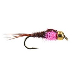 tg tactical pheasant tail pink collar