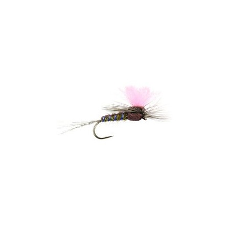 Grey Olive High Viz Paradream BL