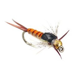 Kyles BH Yellow Sally