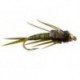 Marks Simple Olive Stonefly