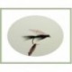 black gnat wet fly