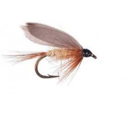 Gold Ribbed hare's ear.jpeg