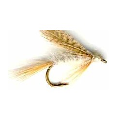 light cahill wet button