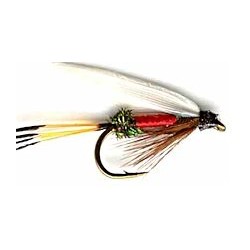 royal coachman wet button