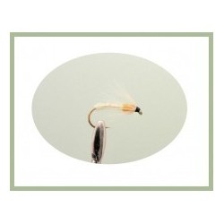 White and Orange Spider