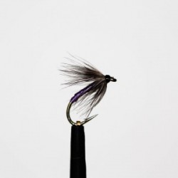 snipe and purple wet