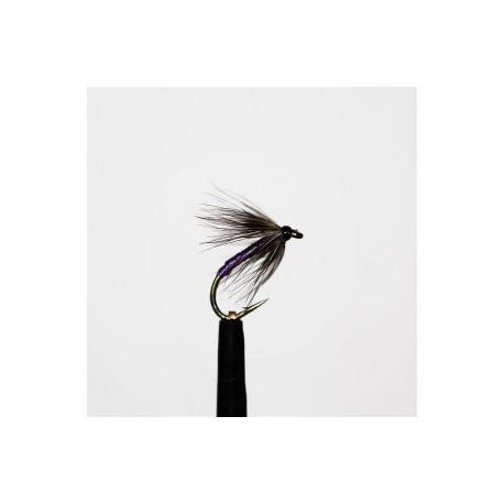 snipe and purple wet