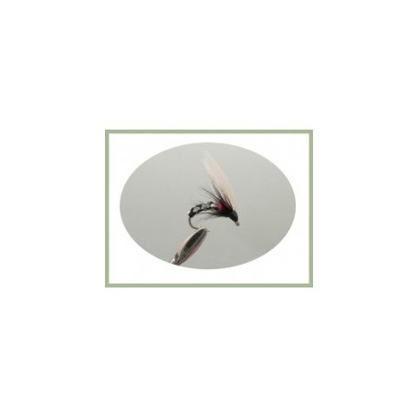 Duck Fly Winged