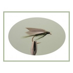 Medium Olive Wet