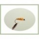 Toms Choice Wet Fly