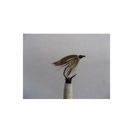 woodcock and hares lug wet