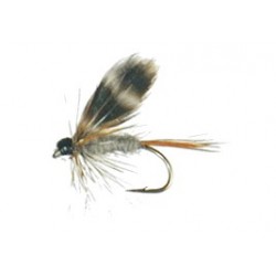 Adams wet fly.gif