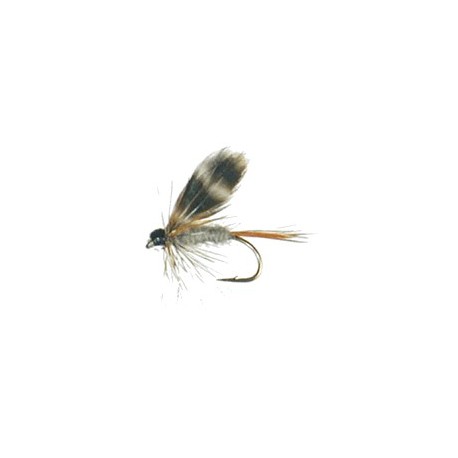 Adams wet fly.gif