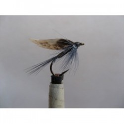 mallochs favourite wet