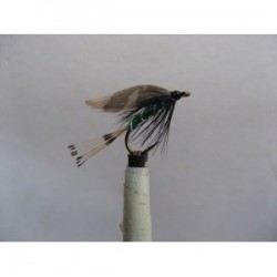 woodcock and green wet