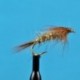 Hares Ear Soft Hackle