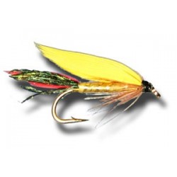 Cassin Wet Fly