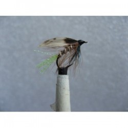 silver invicta twinkle wet