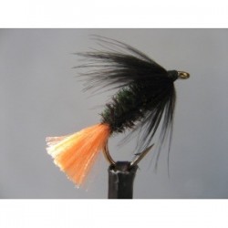 black peacock spider variant wet