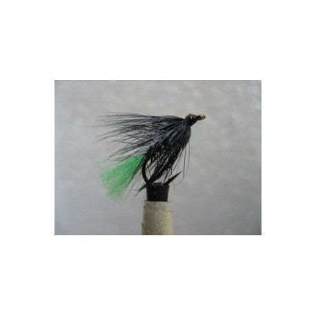 zulu green tail wet