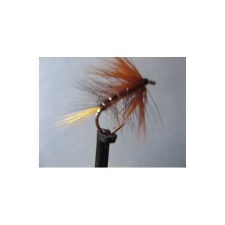 ians copper kate mclaren wet