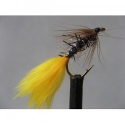 uv kate mclaren sunburst wet