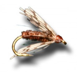 Pheasant Tail Soft Hackle