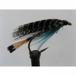 teal blue and silver wet