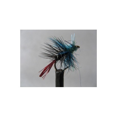 blue zulu lite brite