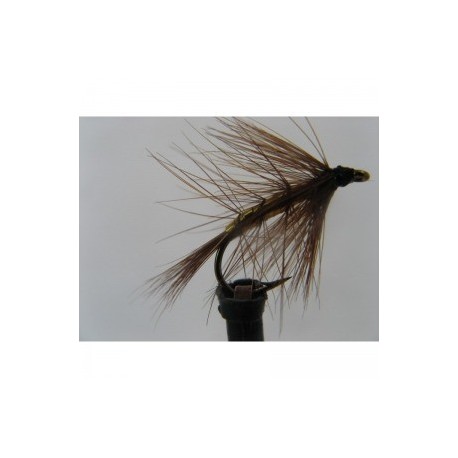 wickhams wingless wet