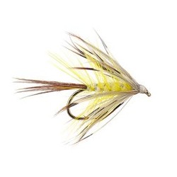 French Partridge Mayfly 10